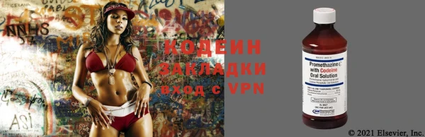 ПСИЛОЦИБИНОВЫЕ ГРИБЫ Сосновка